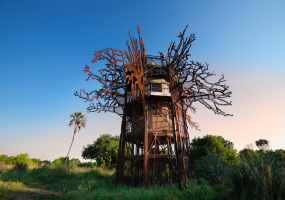 Okavango Delta, 12 Bedrooms Bedrooms, ,12 BathroomsBathrooms,Lodge,Lodge,2153