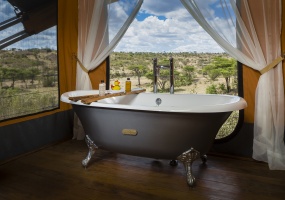 12 Bedrooms, Richard Branson’s properties, Luxury Camps, 12 Bathrooms, Listing ID 2254, Masai Mara National Reserve, Rift Valley Province, Kenya, Africa,