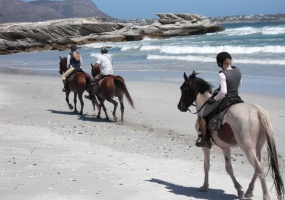 Hotel, Vacation Rental, Listing ID 1553, Overstrand, Overberg District, Western Cape, South Africa, Africa,