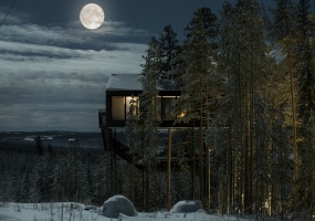 Tree House, Hotel, Edeforsvägen 2A, Listing ID 1740, Harads, Norrbotten County, Sweden, Europe,